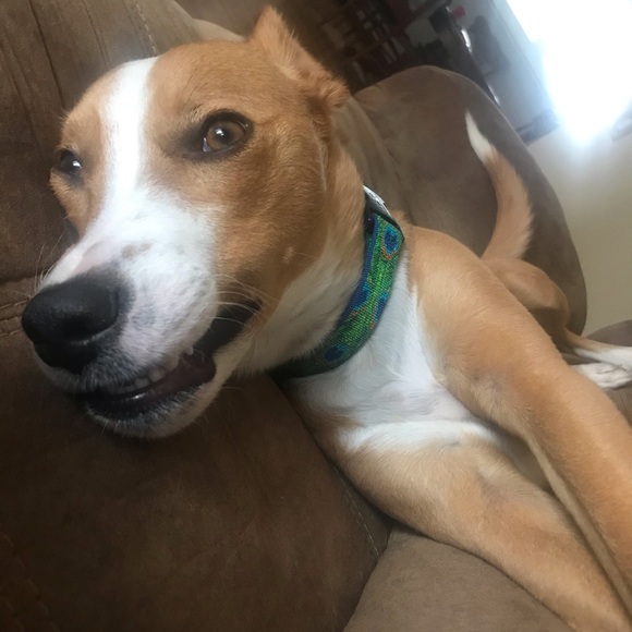 Meet your Posher, Emily - Picture 6 of 6